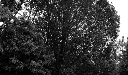 Rebecca Goodwin Photography