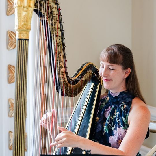 Heather Wrighton - Harpist