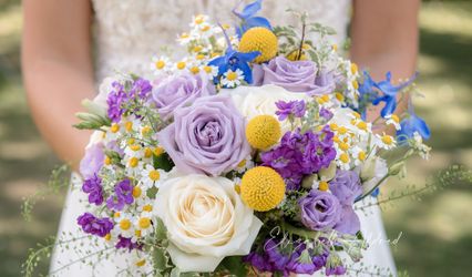 Elizabeth Aldred Photography