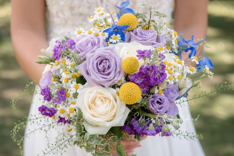 Elizabeth Aldred Photography