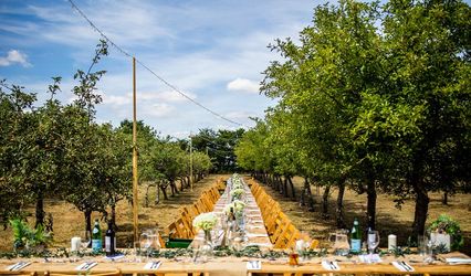 Provenance Brix & Mortar and The Orchard Barn