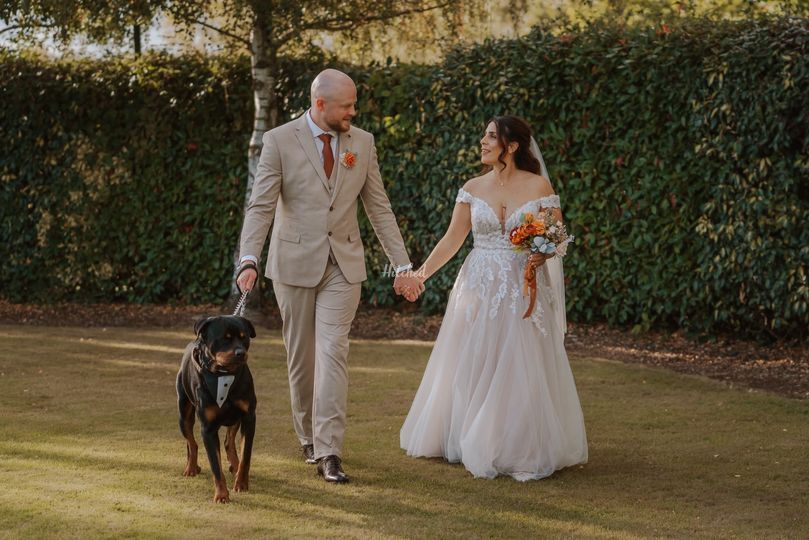 Dolly & Co Weddings | Wedding Dog Chaperone