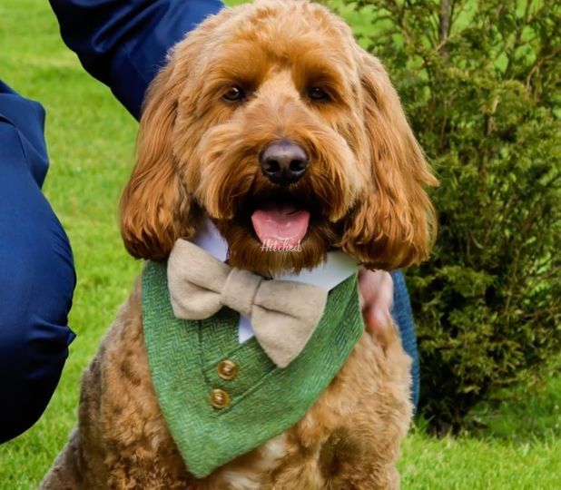 Girling & Wood Wedding Films