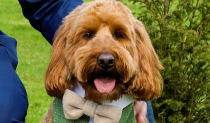 Girling & Wood Wedding Films