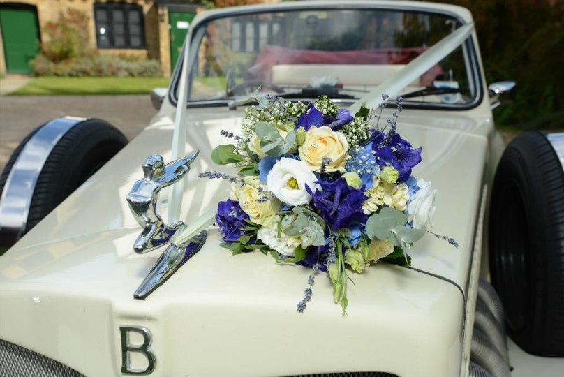 Stems of Beauty Ltd.