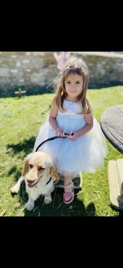 Hearts&hound