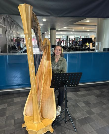 Ellie Wood Harpist