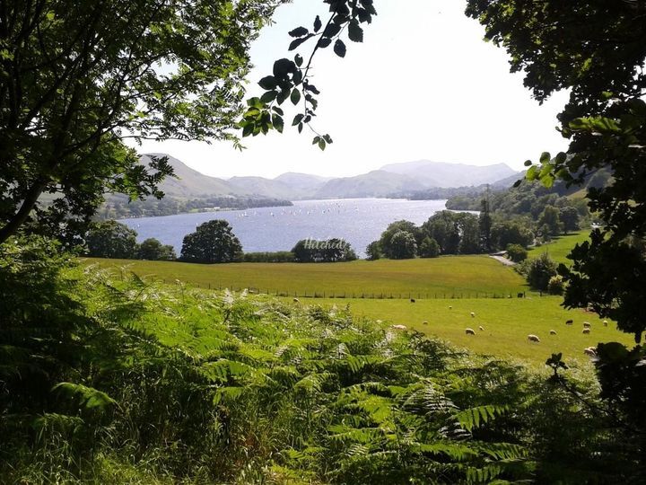 Forever Weddings and Events