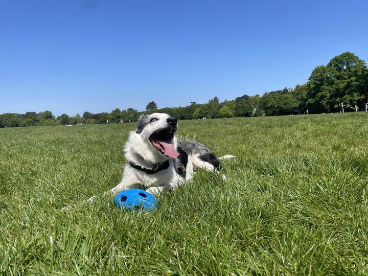 From Sit to ‘I Do’