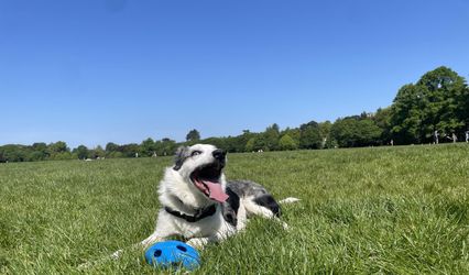 From Sit to ‘I Do’