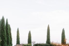 Patricia Lynch Photography