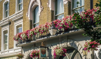 The Hollywood Arms