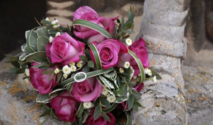 Magnolia the Florist
