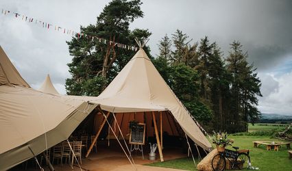 THOMAS TIPIS