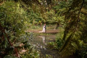 Abbotsbury Subtropical Gardens