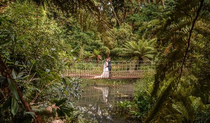 Abbotsbury Subtropical Gardens