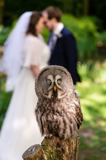 Hawk Conservancy Trust