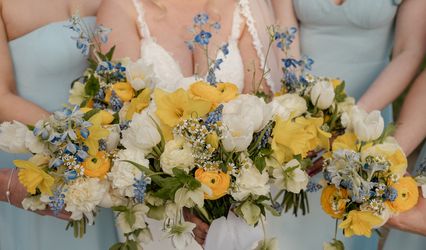 Wilde Avenue Floral Studio