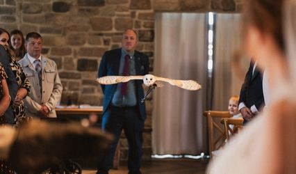 Barn Owl Ring Bearer