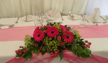 Beloved Weddings and Events