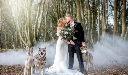 Debbie Sanderson Wedding Photography