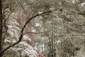Thomas McCabe Photography