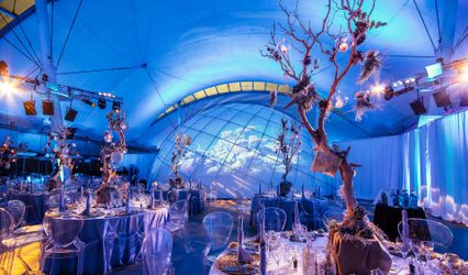 Dynamic Earth