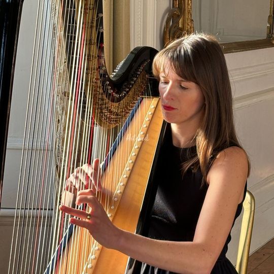 Alice Wonder Harp