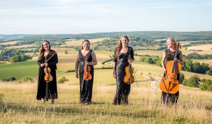 South Downs Strings
