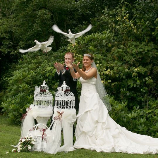 Lovey Dovey UK