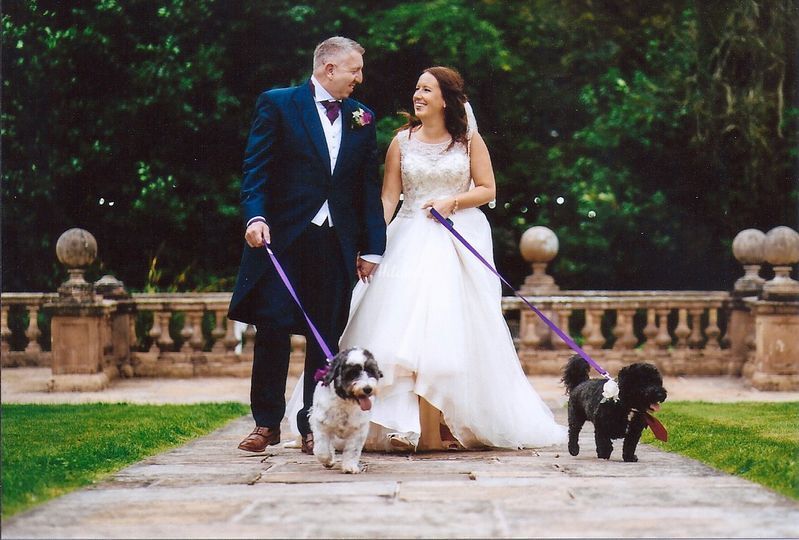 The Fairy Dogmother Weddings