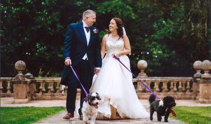 The Fairy Dogmother Weddings