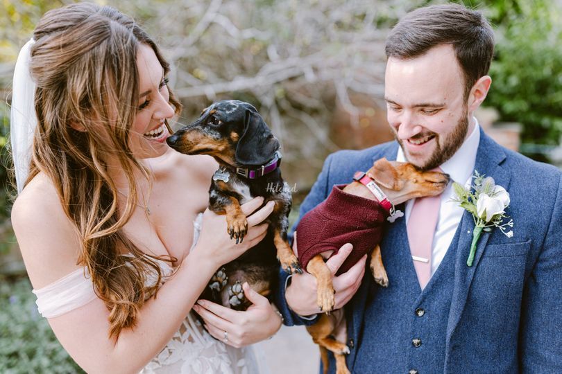 The Furry Dogmother Wedding Chaperone
