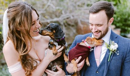 The Furry Dogmother Wedding Chaperone