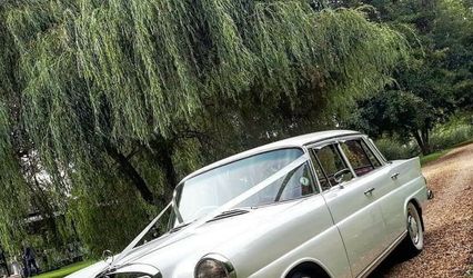 Classic Mercedes-Benz Chauffeuring