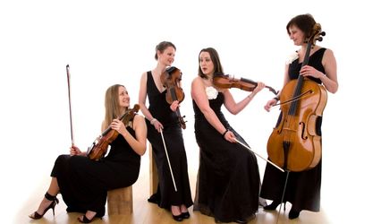 Bowfiddle Strings