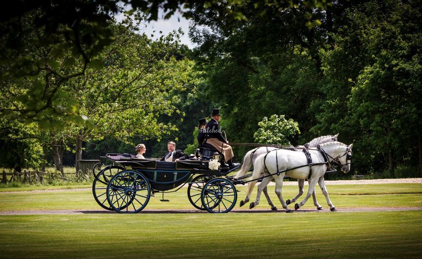 D K Carriage Horses