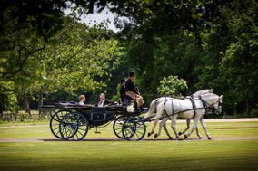 D K Carriage Horses