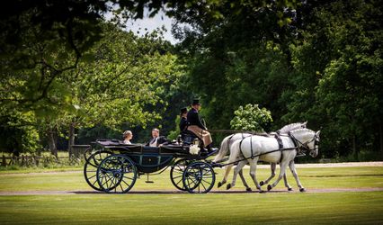 D K Carriage Horses