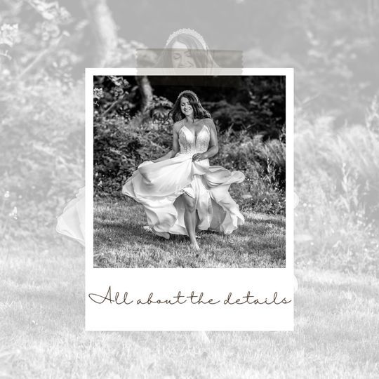 Danny Hollywood - Video, Drone, Photo