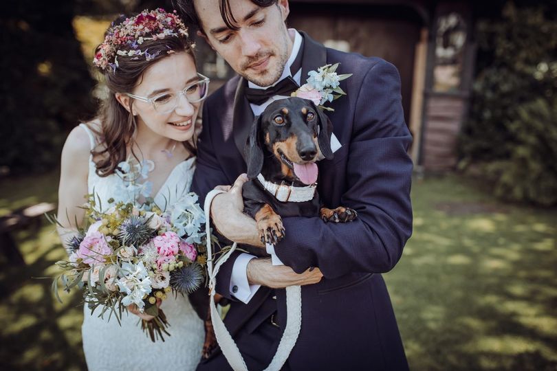 Alfie’s Retreat - Dog Wedding Chaperone