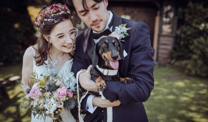 Alfie’s Retreat - Dog Wedding Chaperone