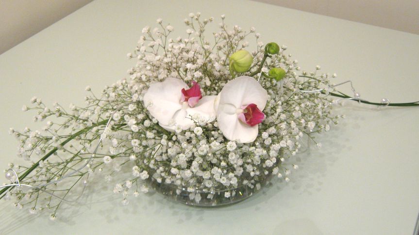 Blossom Baby Ltd