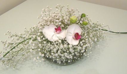 Blossom Baby Ltd
