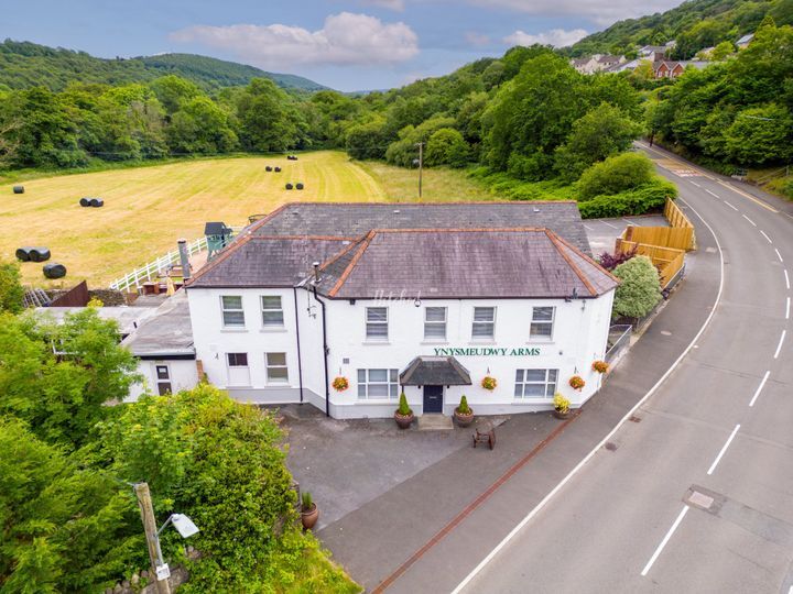 The Ynys