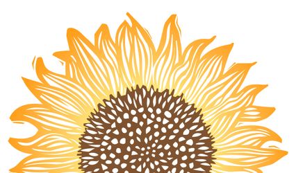 Sunflower Kitchen