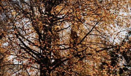 Photography by Danielle Axworthy