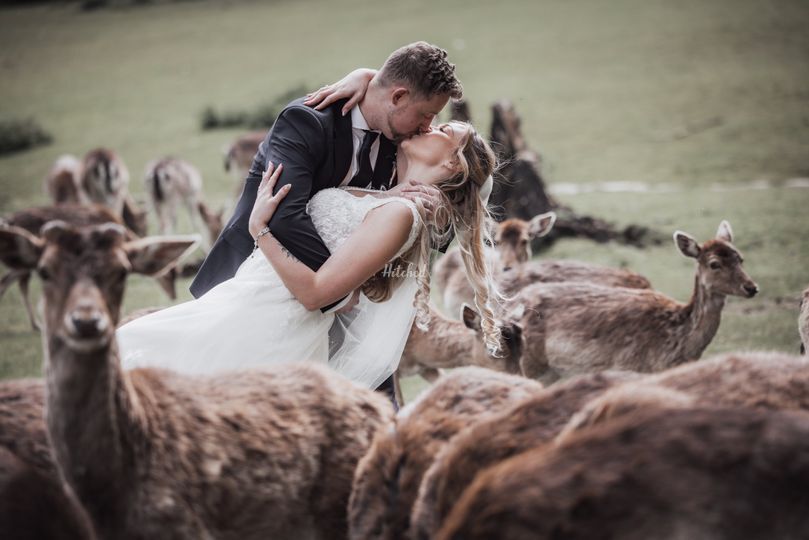 Dash Photography & Film