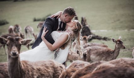 Dash Photography & Film