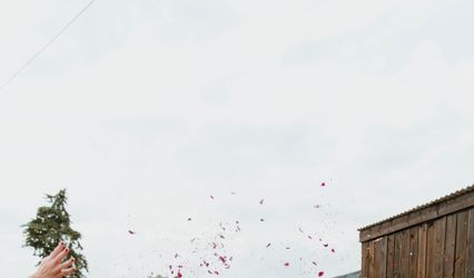 Daisy Davidson Photography